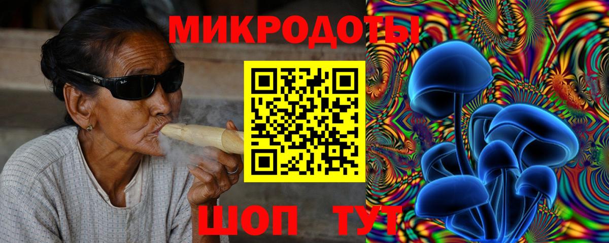 Псилоцибиновые грибы Cubensis Юрга